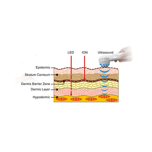 Skin Renewal